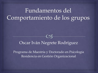 Oscar Iván Negrete Rodríguez
Programa de Maestría y Doctorado en Psicología
Residencia en Gestión Organizacional
 