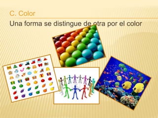 C. Color
Una forma se distingue de otra por el color
 