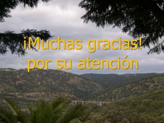 ¡Muchas gracias!
 por su atención
 