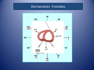 Derivaciones Frontales
 