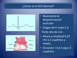 ¿Cómo es el ECG Normal?


            • Representa la
               despolarización
               auricular
            • Origen de P nodo S-A
              Parte alta de A.D.
            • Altura o amplitud 0,25
               mV o 2 cuadritos y
               medio
            • Duración < 0,12 seg o 3
               cuadritos
 