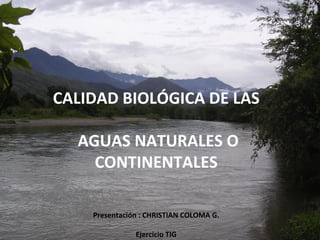 CALIDAD BIOLÓGICA DE LAS

  AGUAS NATURALES O
    CONTINENTALES

    Presentación : CHRISTIAN COLOMA G.

               Ejercicio TIG
 