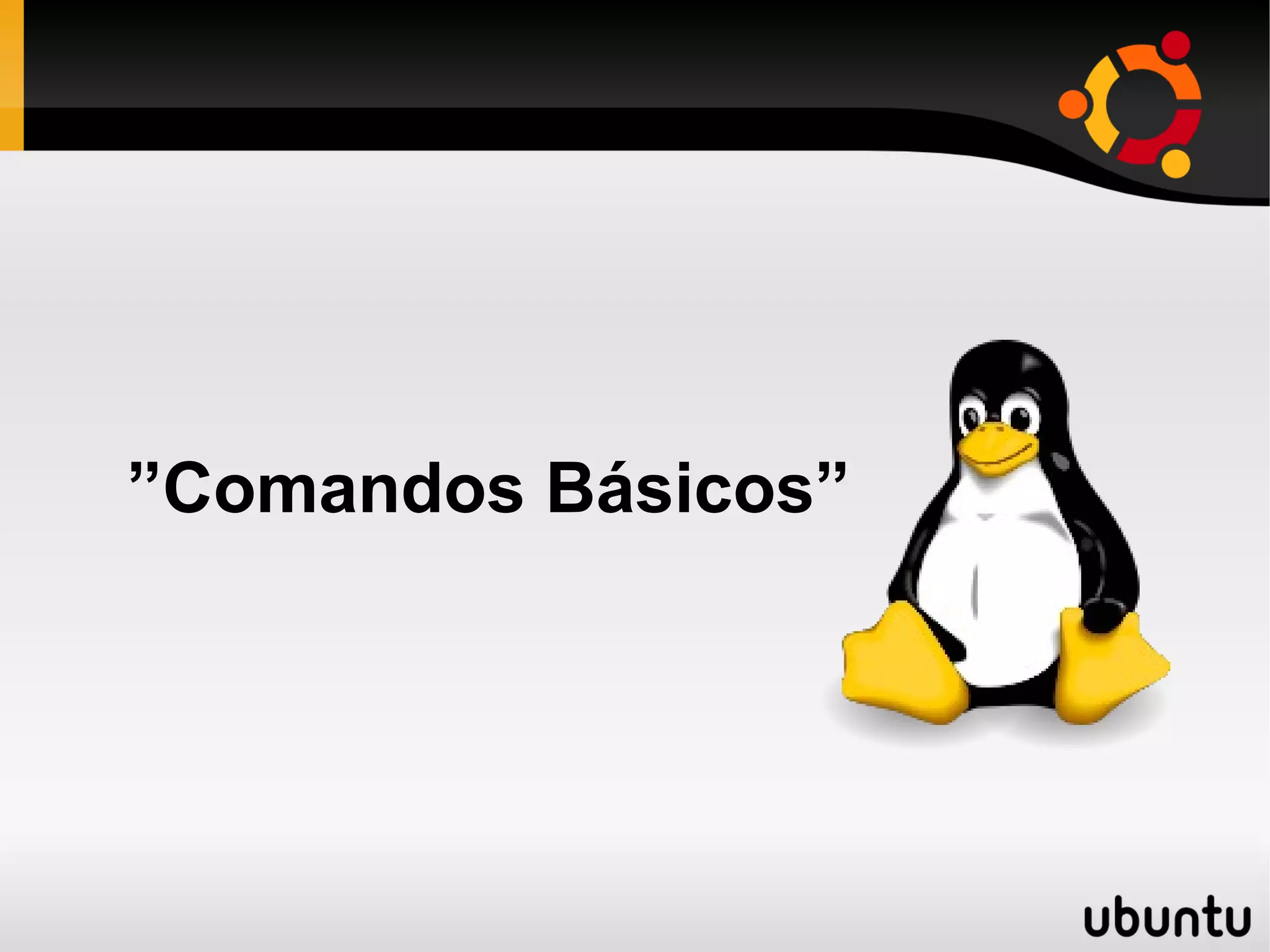 ”Comandos Básicos”
 