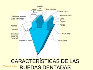 Paso circular
Borde superior
Ancho de cara
Cara
Flanco
Fondo
Círculo de p…
Círculo base
Ancho
de
diente
Grosor
de
diente
Círculo de adendo
(o de extremos)
Adendo
Dedendo
Círculo de
dedendo
(o de raíz)
Holgura (o claro)
Volver al índice
CARACTERÍSTICAS DE LAS
RUEDAS DENTADAS
 