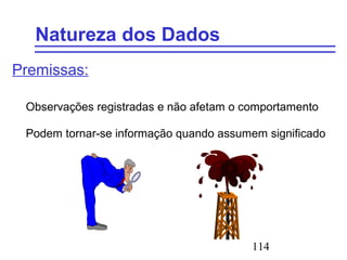 114
Natureza dos Dados
Premissas:
Observações registradas e não afetam o comportamento
Podem tornar-se informação quando assumem significado
 