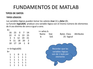 A=
16 23 0 7 14
22 4 6 13 15
3 5 12 19 21
9 11 18 20 2
10 17 24 1 8
>> b=logical(A)
b=
1 1 0 1
1 1 1 1
1 1 1 1
1 1 1 1
1 1 1 1
1
1
1
1
1
>> whos b
Name Size Bytes Class Attributes
b 5x5 25 logical
Recordar que las
variables lógicas
son de 1 byte por
elemento
FUNDAMENTOS DE MATLAB
TIPOS DE DATOS
TIPOS LÓGICOS
Las variables lógicas pueden tomar los valores true (1) y false (0).
La función logical(A) produce una variable lógica con el mismo número de elementos
de A sea distinto de cero o igual a cero.
 