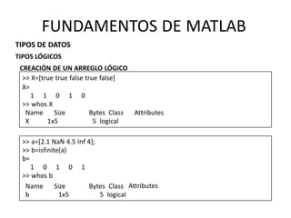 AttributesName Size Bytes Class
b 1x5 5 logical
FUNDAMENTOS DE MATLAB
TIPOS DE DATOS
TIPOS LÓGICOS
CREACIÓN DE UN ARREGLO LÓGICO
>> X=[true true false true false]
X=
1 1 0 1 0
>> whos X
Name Size Bytes Class Attributes
X 1x5 5 logical
>> a=[2.1 NaN 4.5 Inf 4];
>> b=isfinite(a)
b=
1 0 1 0 1
>> whos b
 