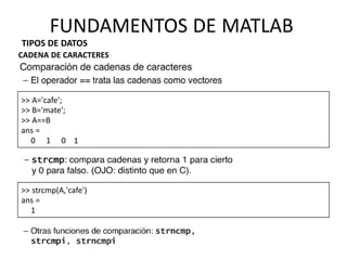 >> A='cafe';
>> B='mate';
>> A==B
ans =
0 1 0 1
>> strcmp(A,'cafe')
ans =
1
FUNDAMENTOS DE MATLAB
TIPOS DE DATOS
CADENA DE CARACTERES
 