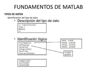 Identificación del tipo de dato
TIPOS DE DATOS
FUNDAMENTOS DE MATLAB
 