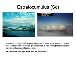 Estratocumulus (Sc) Presentan ondulaciones amplias parecidas a cilindros alargados, pudiendo presentarse como bancos de gran extensión. Estas nubes presentan zonas con diferentes intensidades de gris.  Producen lluvias ligeras continuas y lloviznas   
