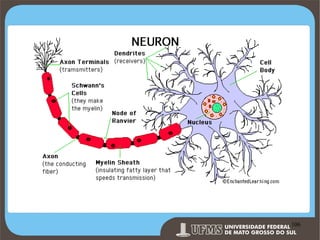 Prof. Ronny M de Moraes 106

106

 