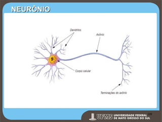 NEURÔNIO

Prof. Ronny M de Moraes 108

108

 
