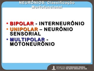 NEURÔNIOS: Classificação
Morfofuncional

•
•

BIPOLAR - INTERNEURÔNIO
UNIPOLAR – NEURÔNIO
SENSORIAL
• MULTIPOLAR MOTONEURÔNIO

Prof. Ronny M de Moraes 112

112

 