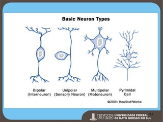 Prof. Ronny M de Moraes 114

114

 