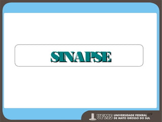 SINAP
SE

Prof. Ronny M de Moraes 119

119

 