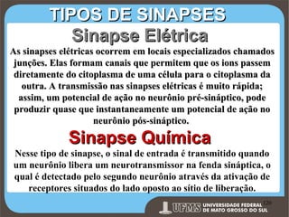 TIPOS DE SINAPSES
Sinapse Elétrica
As sinapses elétricas ocorrem em locais especializados chamados
junções. Elas formam canais que permitem que os ions passem
diretamente do citoplasma de uma célula para o citoplasma da
outra. A transmissão nas sinapses elétricas é muito rápida;
assim, um potencial de ação no neurônio pré-sináptico, pode
produzir quase que instantaneamente um potencial de ação no
neurônio pós-sináptico.

Sinapse Química
Nesse tipo de sinapse, o sinal de entrada é transmitido quando
um neurônio libera um neurotransmissor na fenda sináptica, o
qual é detectado pelo segundo neurônio através da ativação de
receptores situados do lado oposto ao sítio de liberação.
Prof. Ronny M de Moraes 120

120

 