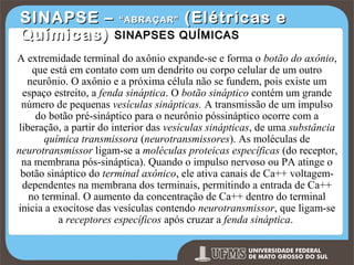 SINAPSE – “ABRAÇAR” (Elétricas e
Químicas) SINAPSES QUÍMICAS
A extremidade terminal do axônio expande-se e forma o botão do axônio,
que está em contato com um dendrito ou corpo celular de um outro
neurônio. O axônio e a próxima célula não se fundem, pois existe um
espaço estreito, a fenda sináptica. O botão sináptico contém um grande
número de pequenas vesículas sinápticas. A transmissão de um impulso
do botão pré-sináptico para o neurônio póssináptico ocorre com a
liberação, a partir do interior das vesículas sinápticas, de uma substância
química transmissora (neurotransmissores). As moléculas de
neurotransmissor ligam-se a moléculas proteicas específicas (do receptor,
na membrana pós-sináptica). Quando o impulso nervoso ou PA atinge o
botão sináptico do terminal axônico, ele ativa canais de Ca++ voltagemdependentes na membrana dos terminais, permitindo a entrada de Ca++
no terminal. O aumento da concentração de Ca++ dentro do terminal
inicia a exocitose das vesículas contendo neurotransmissor, que ligam-se
a receptores específicos após cruzar a fenda sináptica.

Prof. Ronny M de Moraes 122

122

 