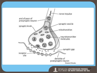 Prof. Ronny M de Moraes 124

124

 
