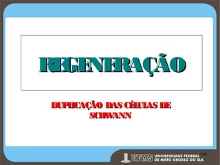 RE NE
GE RAÇÃO
DUP ICAÇÃO DAS CÉ UL DE
L
L AS
SCH ANN
W

Prof. Ronny M de Moraes 140

140

 