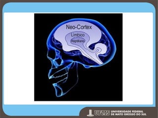 Prof. Ronny M de Moraes 149

 