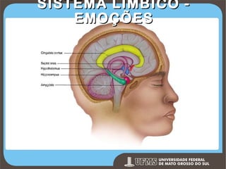 SISTEMA LÍMBICO EMOÇÕES

Prof. Ronny M de Moraes 155

 