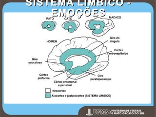 SISTEMA LÍMBICO EMOÇÕES

Prof. Ronny M de Moraes 157

 