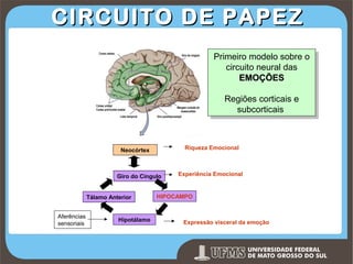 CIRCUITO DE PAPEZ
Primeiro modelo sobre o
Primeiro modelo sobre o
circuito neural das
circuito neural das
EMOÇÕES
EMOÇÕES
Regiões corticais e
Regiões corticais e
subcorticais
subcorticais

Riqueza Emocional

Neocórtex

Giro do Cíngulo
Tálamo Anterior
Aferências
sensoriais

Hipotálamo

Experiência Emocional

HIPOCAMPO

Expressão visceral da emoção

Prof. Ronny M de Moraes 161

 
