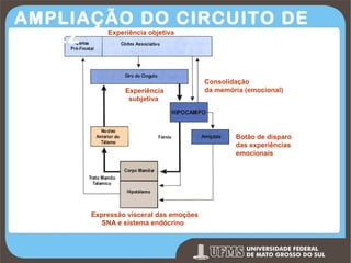 AMPLIAÇÃO DO CIRCUITO DE
PAPEZ
Experiência objetiva

Experiência
subjetiva

Consolidação
da memória (emocional)

Botão de disparo
das experiências
emocionais

Expressão visceral das emoções
SNA e sistema endócrino

Prof. Ronny M de Moraes 162

 
