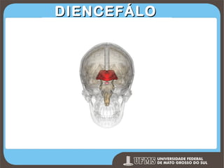 DIENCEFÁLO

Prof. Ronny M de Moraes 167

 