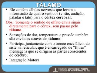 TÁLAMO

• Ele contém células nervosas que levam a
informação de quatro sentidos (visão, audição,
paladar e tato) para o córtex cerebral;
Obs.: Somente o sentido de olfato envia sinais
diretamente para o córtex, sem passar pelo
tálamo.
• Sensações de dor, temperatura e pressão também
são enviadas através do tálamo;
• Participa, juntamente com o tronco encefálico, do
sistema reticular, que é encarregado de “filtrar”
mensagens que se dirigem às partes conscientes
do cérebro;
• Integração Motora
Prof. Ronny M de Moraes 169

 