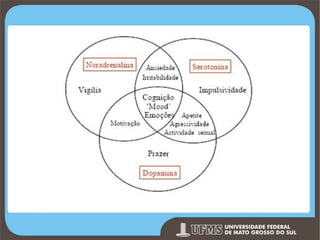 Prof. Ronny M de Moraes 172

 