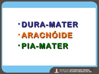 • DURA-MATER
• ARACNÓIDE
• PIA-MATER
Prof. Ronny M de Moraes 174

174

 