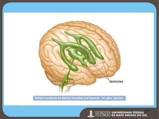 Prof. Ronny M de Moraes 177

177

 