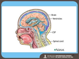 Prof. Ronny M de Moraes 178

178

 