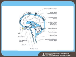Prof. Ronny M de Moraes 179

179

 