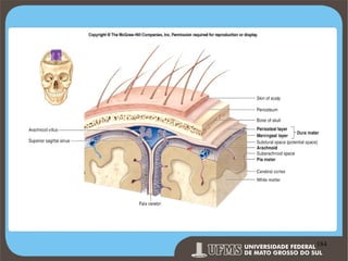 Prof. Ronny M de Moraes 184

184

 