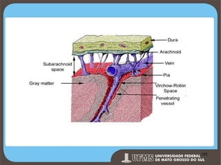 Prof. Ronny M de Moraes 185

185

 