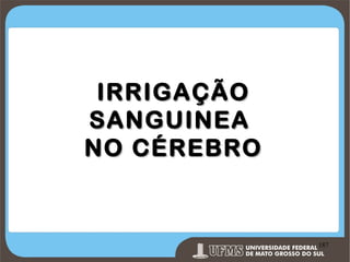 IRRIGAÇÃO
SANGUINEA
NO CÉREBRO

Prof. Ronny M de Moraes 187

187

 