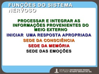 FUNÇÕES DO SISTEMA
NERVOSO
PROCESSAR E INTEGRAR AS
INFORMAÇÕES PROVENIENTES DO
MEIO EXTERNO
INICIAR UMA RESPOSTA APROPRIADA
SEDE DA CONSCIÊNCIA
SEDE DA MEMÓRIA
SEDE DAS EMOÇÕES

Prof. Ronny M de Moraes 19

19

 