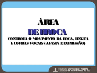 ÁRE
A
DE B
ROCA

CONT
ROL O M
A
OVIM NT DA B
E O
OCA, L
INGUA
E CORDAS VOCAIS (AF
ASIA E E RE
XP SSÃO)

Prof. Ronny M de Moraes 192

192

 