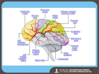 Prof. Ronny M de Moraes 195

195

 