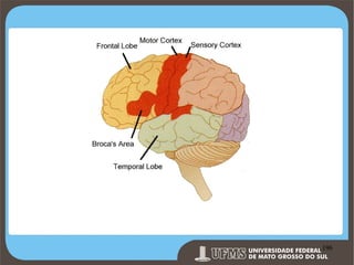 Prof. Ronny M de Moraes 196

196

 