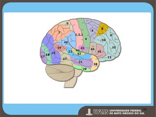 Prof. Ronny M de Moraes 198

198

 