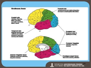 Prof. Ronny M de Moraes 199

199

 