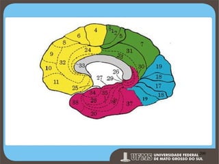 Prof. Ronny M de Moraes 200

200

 