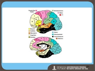Prof. Ronny M de Moraes 201

201

 