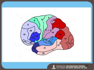 Prof. Ronny M de Moraes 202

202

 