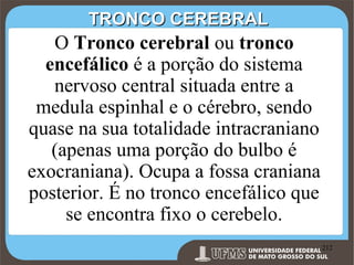 TRONCO CEREBRAL

O Tronco cerebral ou tronco
encefálico é a porção do sistema
nervoso central situada entre a
medula espinhal e o cérebro, sendo
quase na sua totalidade intracraniano
(apenas uma porção do bulbo é
exocraniana). Ocupa a fossa craniana
posterior. É no tronco encefálico que
se encontra fixo o cerebelo.
Prof. Ronny M de Moraes 212

212

 