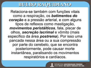 BULBO RAQUIDIANO
Relaciona-se também com funções vitais
como a respiração, os batimentos do
coração e a pressão arterial, e com alguns
tipos de reflexos como mastigação,
movimentos peristálticos, fala, piscar de
olhos, secreção lacrimal e vômito (mais
específico da área postrema). Por isso uma
pancada nessa área ou a sua compressão
por parte do cerebelo, que se encontra
posteriormente, pode causar morte
instantânea, paralisando os movimentos
respiratórios e cardíacos.
Prof. Ronny M de Moraes 214

214

 