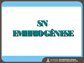 SN
E B
M RIOGÊ SE
NE
Prof. Ronny M de Moraes 22

 